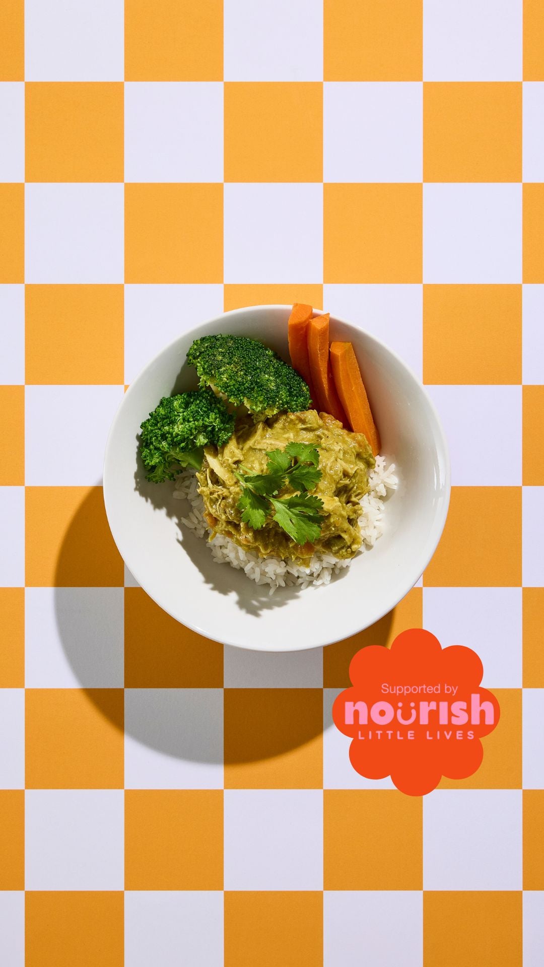CHICKEN CURRY WITH VEG